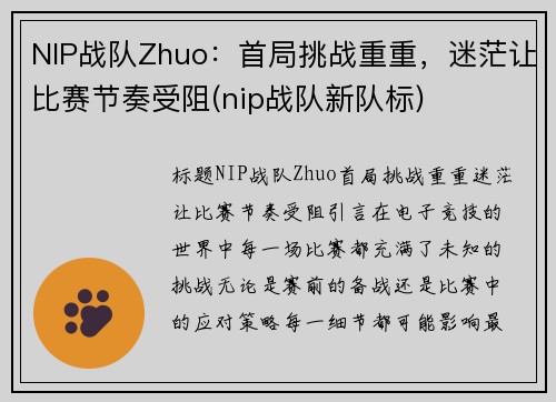 NIP战队Zhuo：首局挑战重重，迷茫让比赛节奏受阻(nip战队新队标)